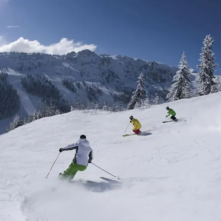 Apartman Spacious In Near Ski Area Ramsau im Zillertal